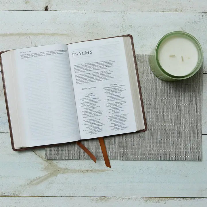 Nrsvce Sacraments of Initiation Catholic Bible, Brown Leather