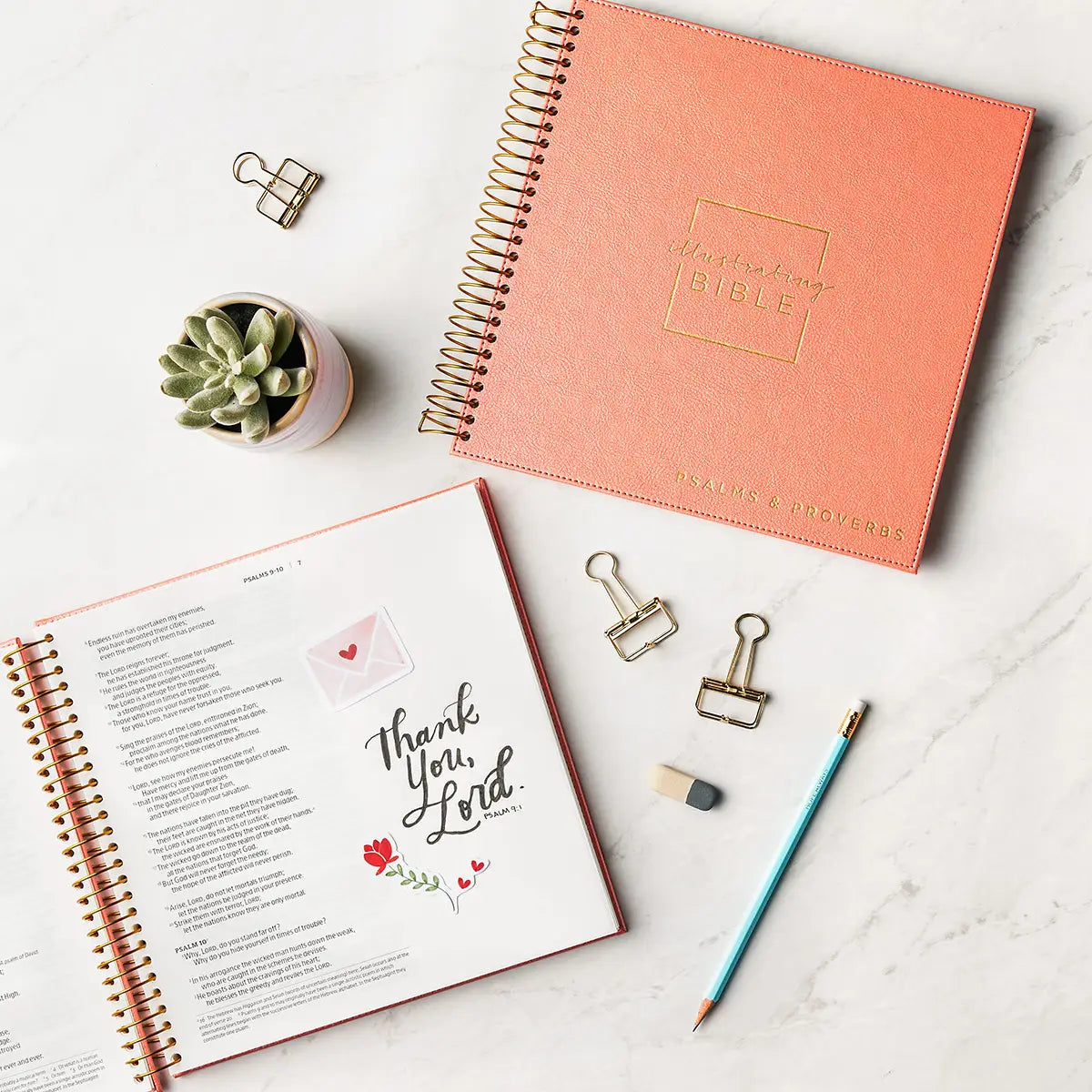 Psalms Illistrated Bible