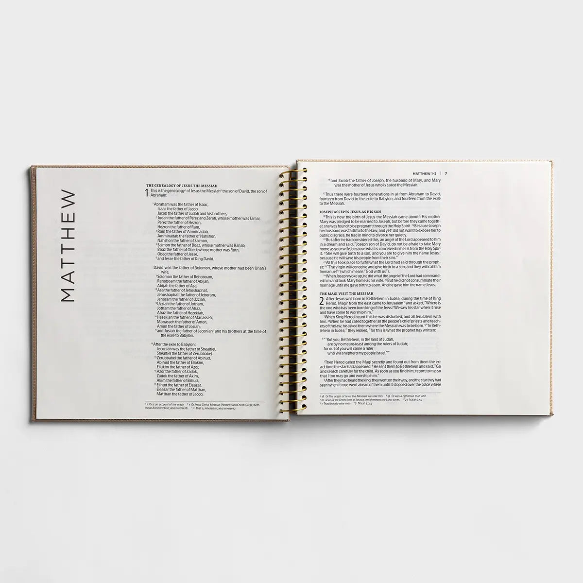 Gospel Illistrated Bible