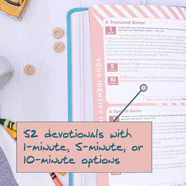 Niv the Busy Mom's Bible, Leathersoft, Teal