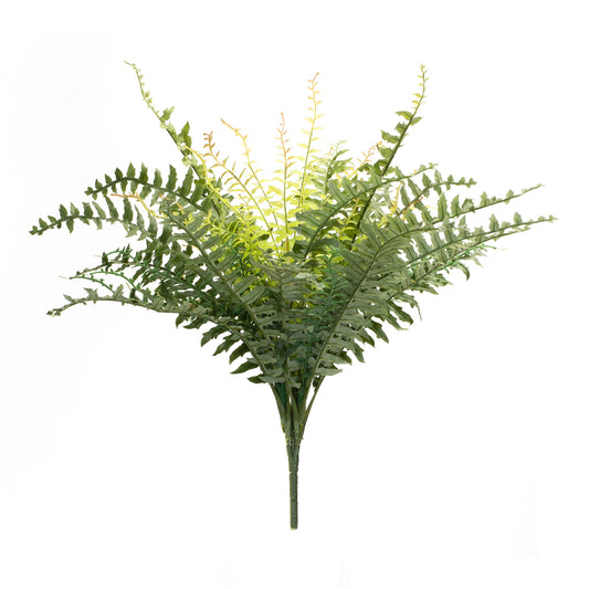 Fern Bush 22.5"H