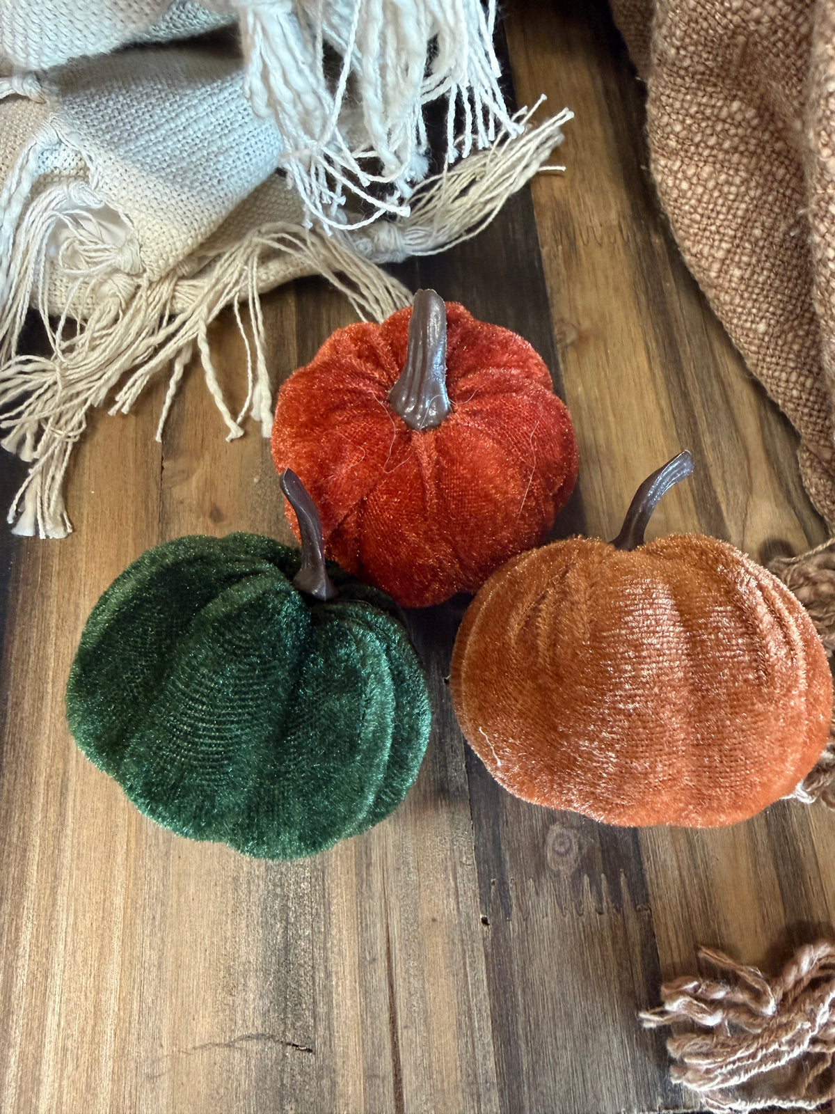 Velvet Pumpkin Small