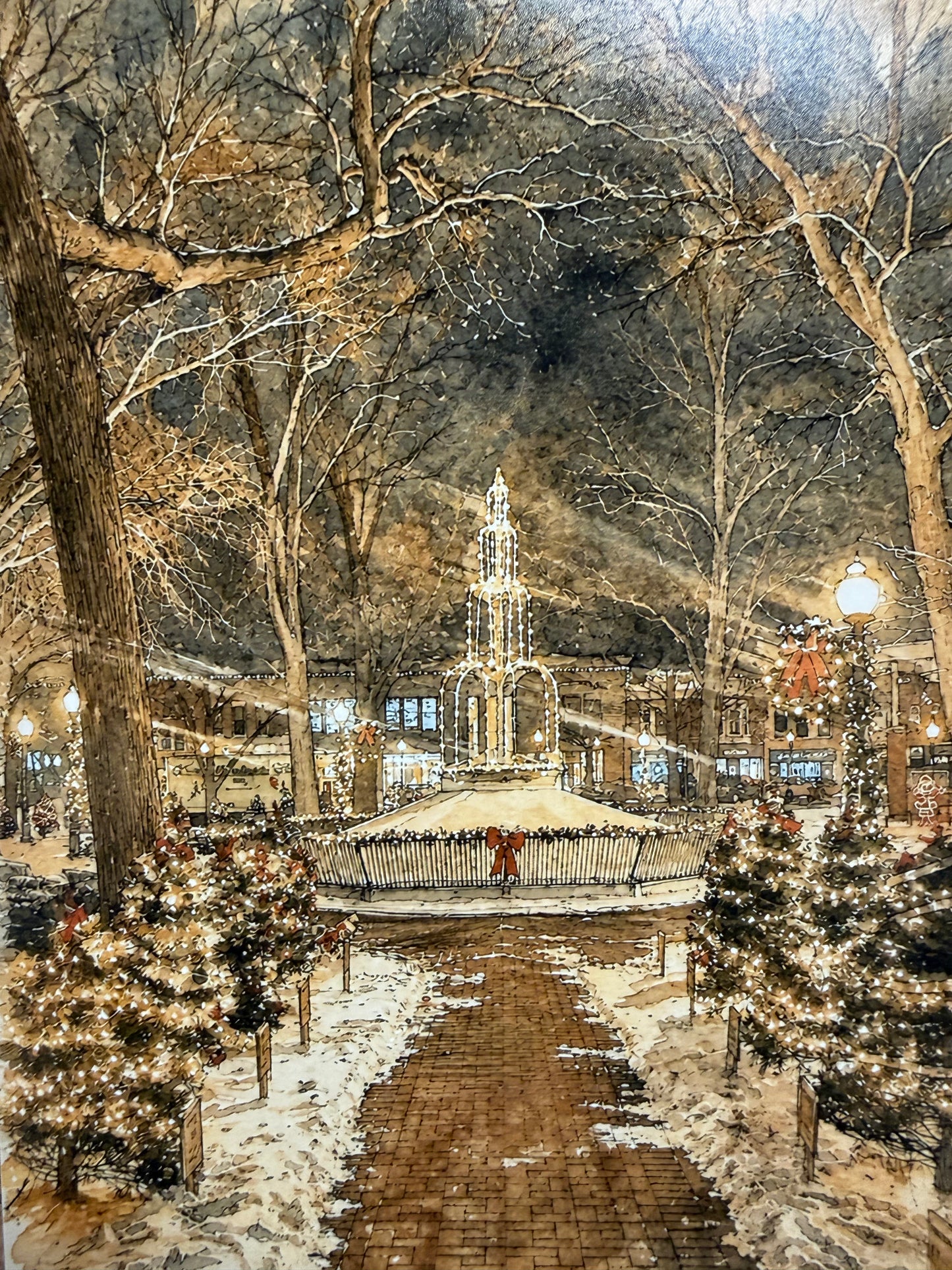 Christmas Lighted Park Picture